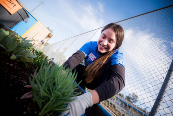 Student Planting Tree