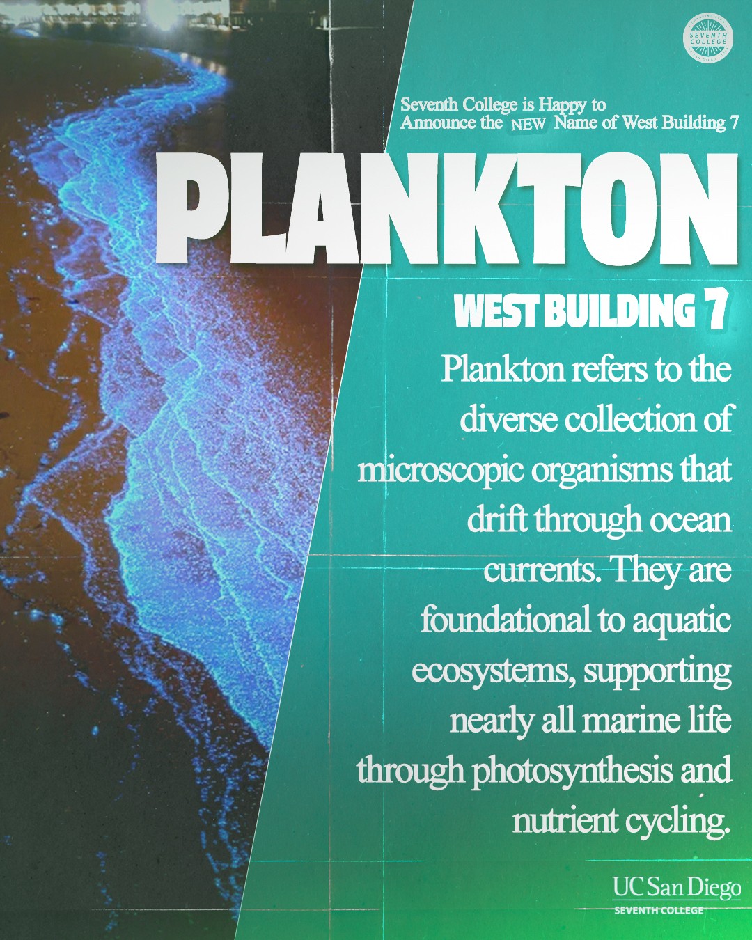 Building 7 west plankton