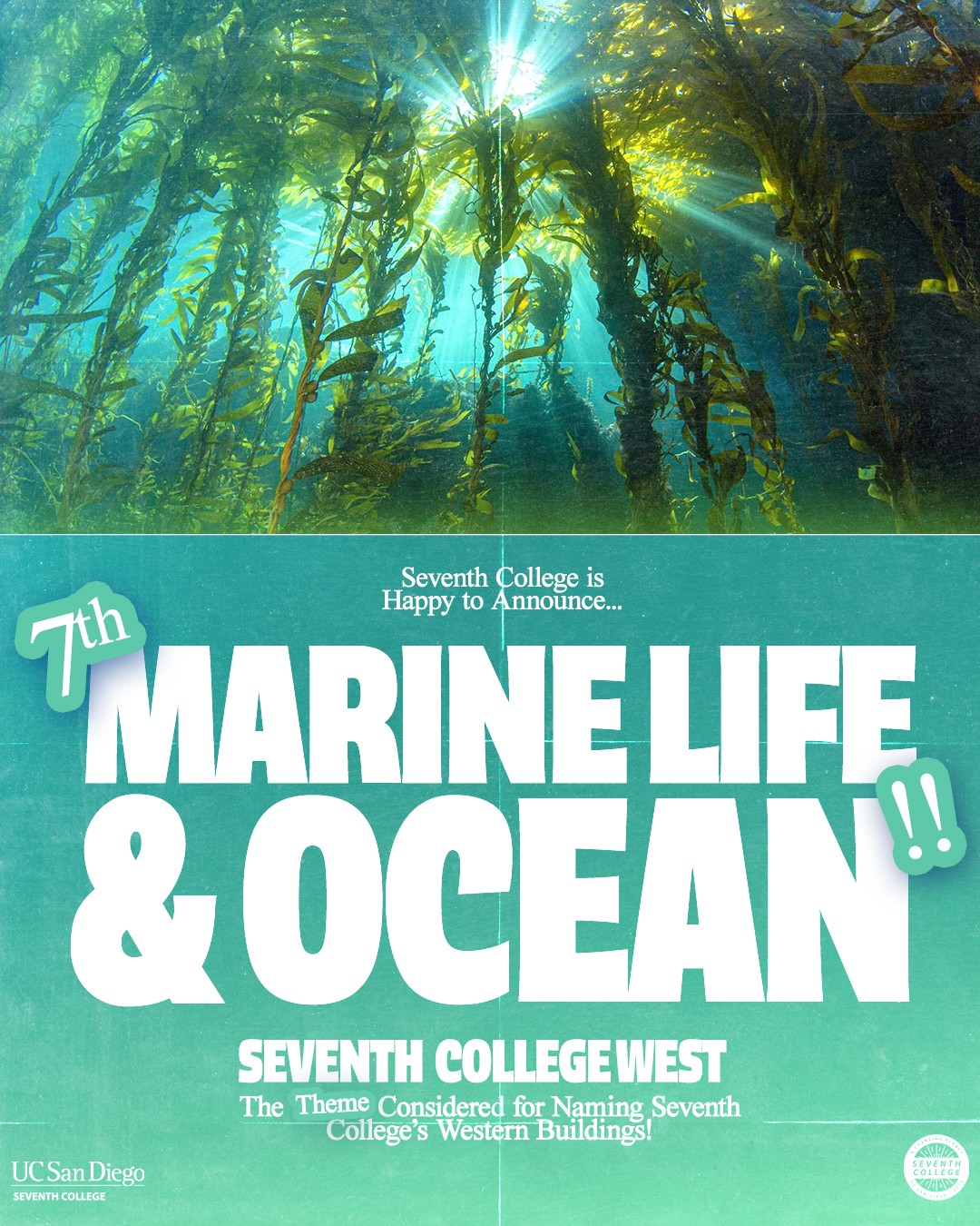 Marine life and ocean